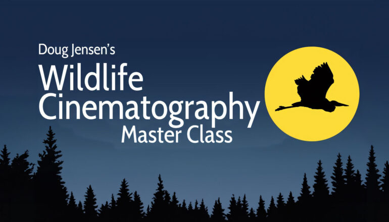 Doug Jensen's Wildlife Cinematography Master Class